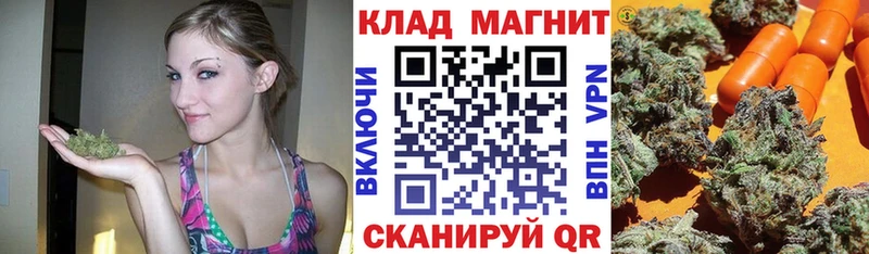 Где купить наркоту Зеленоградск Марихуана СК ГАШ КОКАИН