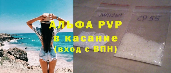 ПСИЛОЦИБИНОВЫЕ ГРИБЫ Вяземский