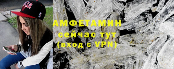 молекула духа Семилуки