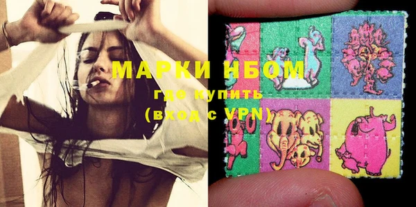 ПСИЛОЦИБИНОВЫЕ ГРИБЫ Вяземский