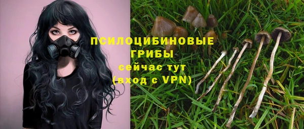 ПСИЛОЦИБИНОВЫЕ ГРИБЫ Вяземский