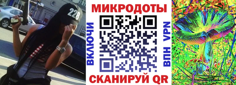 где найти Зеленоградск Псилоцибиновые грибы MAGIC MUSHROOMS